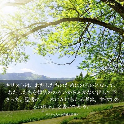 Picture 03 - ガラテヤ人への手紙 3:13 JPN - キリストは、わたしたちのためにの - Bible Verse Picture