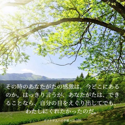 Picture 03 - ガラテヤ人への手紙 4:15 JPN - その時のあなたがたの感激は、今ど - Bible Verse Picture