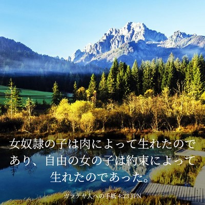 Picture 03 - ガラテヤ人への手紙 4:23 JPN - 女奴隷の子は肉によって生れたので - Bible Verse Picture