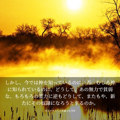 Picture 03 - ガラテヤ人への手紙 4:9 JPN - しかし、今では神を知っているのに - Bible Verse Picture