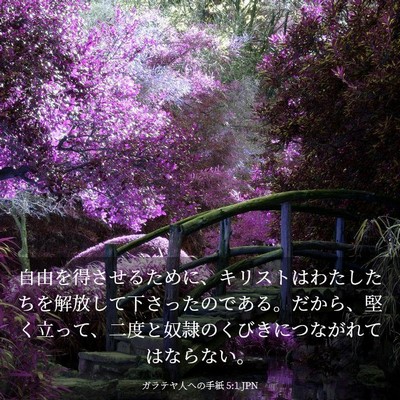 Picture 03 - ガラテヤ人への手紙 5:1 JPN - 自由を得させるために、キリストは - Bible Verse Picture