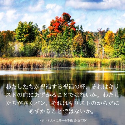 Picture 03 - コリント人への第一の手紙 10:16 JPN - わたしたちが祝福する祝福の杯、そ - Bible Verse Picture
