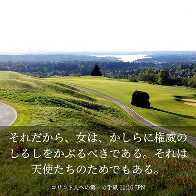 Picture 03 - コリント人への第一の手紙 11:10 JPN - それだから、女は、かしらに権威の - Bible Verse Picture