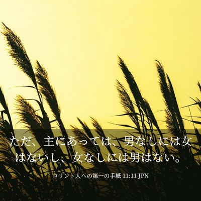 Picture 03 - コリント人への第一の手紙 11:11 JPN - ただ、主にあっては、男なしには女 - Bible Verse Picture