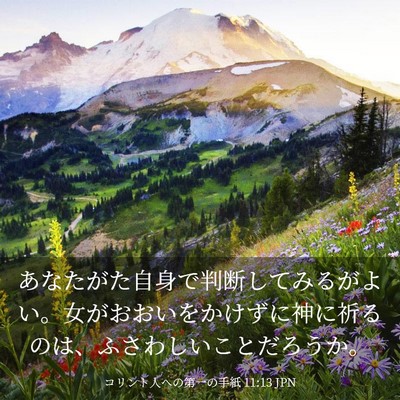 Picture 03 - コリント人への第一の手紙 11:13 JPN - あなたがた自身で判断してみるがよ - Bible Verse Picture