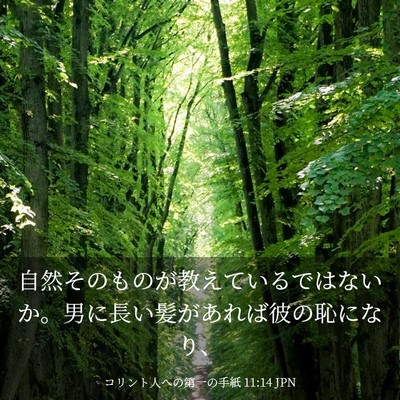 Picture 03 - コリント人への第一の手紙 11:14 JPN - 自然そのものが教えているではない - Bible Verse Picture