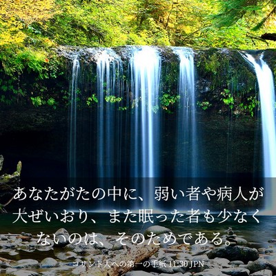 Picture 03 - コリント人への第一の手紙 11:30 JPN - あなたがたの中に、弱い者や病人が - Bible Verse Picture