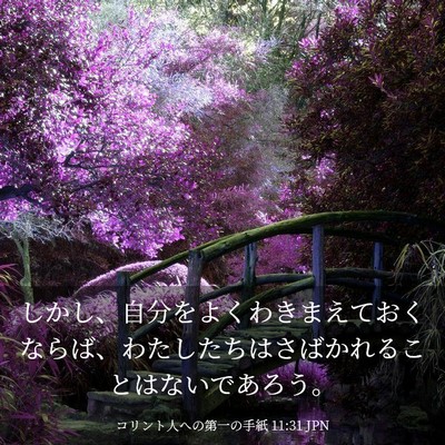 Picture 03 - コリント人への第一の手紙 11:31 JPN - しかし、自分をよくわきまえておく - Bible Verse Picture