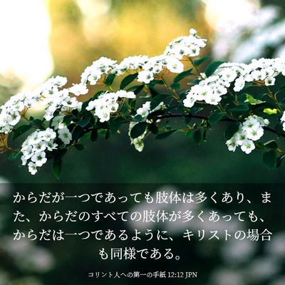Picture 03 - コリント人への第一の手紙 12:12 JPN - からだが一つであっても肢体は多く - Bible Verse Picture