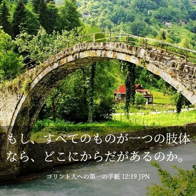 Picture 03 - コリント人への第一の手紙 12:19 JPN - もし、すべてのものが一つの肢体な - Bible Verse Picture