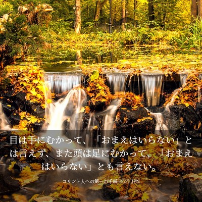 Picture 03 - コリント人への第一の手紙 12:21 JPN - 目は手にむかって、「おまえはいら - Bible Verse Picture