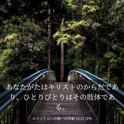 Picture 03 - コリント人への第一の手紙 12:27 JPN - あなたがたはキリストのからだであ - Bible Verse Picture