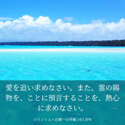 Picture 03 - コリント人への第一の手紙 14:1 JPN - 愛を追い求めなさい。また、霊の賜 - Bible Verse Picture