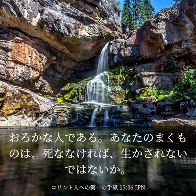 Picture 03 - コリント人への第一の手紙 15:36 JPN - おろかな人である。あなたのまくも - Bible Verse Picture