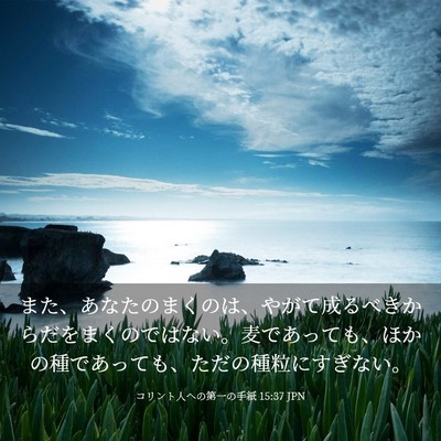 Picture 03 - コリント人への第一の手紙 15:37 JPN - また、あなたのまくのは、やがて成 - Bible Verse Picture