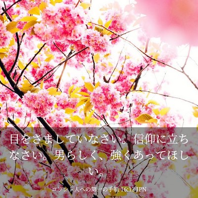 Picture 03 - コリント人への第一の手紙 16:13 JPN - 目をさましていなさい。信仰に立ち - Bible Verse Picture
