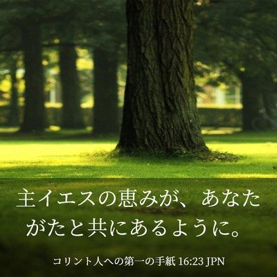 Picture 03 - コリント人への第一の手紙 16:23 JPN - 主イエスの恵みが、あなたがたと共 - Bible Verse Picture
