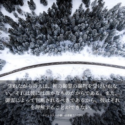 Picture 03 - コリント人への第一の手紙 2:14 JPN - 生れながらの人は、神の御霊の賜物 - Bible Verse Picture