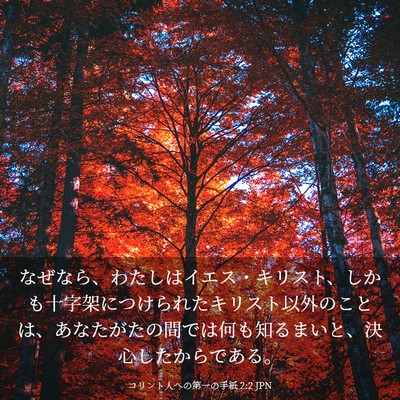 Picture 03 - コリント人への第一の手紙 2:2 JPN - なぜなら、わたしはイエス・キリス - Bible Verse Picture