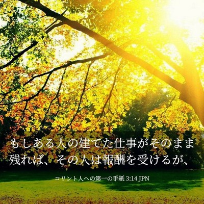 Picture 03 - コリント人への第一の手紙 3:14 JPN - もしある人の建てた仕事がそのまま - Bible Verse Picture
