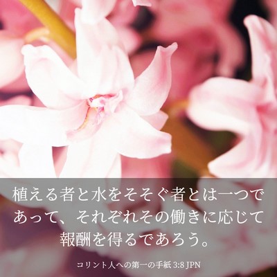 Picture 03 - コリント人への第一の手紙 3:8 JPN - 植える者と水をそそぐ者とは一つで - Bible Verse Picture