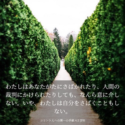 Picture 03 - コリント人への第一の手紙 4:3 JPN - わたしはあなたがたにさばかれたり - Bible Verse Picture