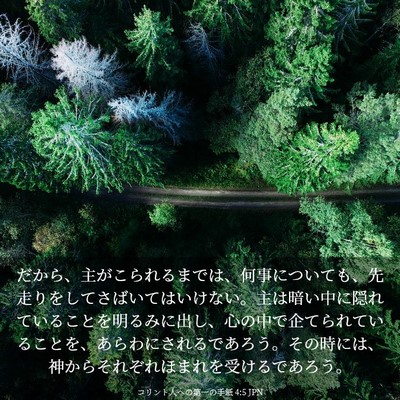 Picture 03 - コリント人への第一の手紙 4:5 JPN - だから、主がこられるまでは、何事 - Bible Verse Picture