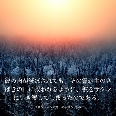 Picture 03 - コリント人への第一の手紙 5:5 JPN - 彼の肉が滅ぼされても、その霊が主 - Bible Verse Picture