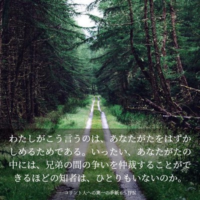 Picture 03 - コリント人への第一の手紙 6:5 JPN - わたしがこう言うのは、あなたがた - Bible Verse Picture