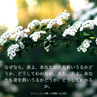 Picture 03 - コリント人への第一の手紙 7:16 JPN - なぜなら、妻よ、あなたが夫を救い - Bible Verse Picture