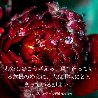Picture 03 - コリント人への第一の手紙 7:26 JPN - わたしはこう考える。現在迫ってい - Bible Verse Picture