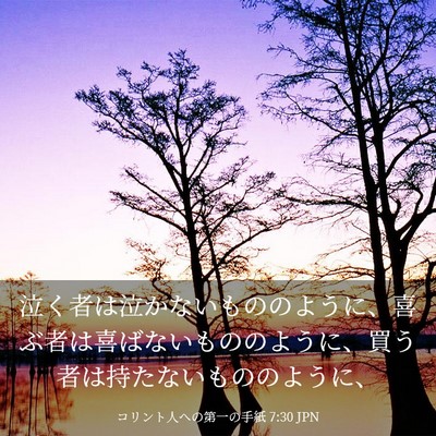 Picture 03 - コリント人への第一の手紙 7:30 JPN - 泣く者は泣かないもののように、喜 - Bible Verse Picture