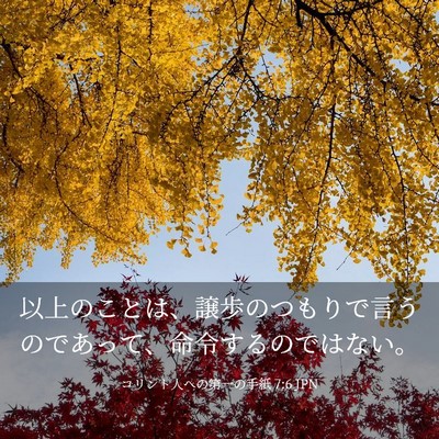Picture 03 - コリント人への第一の手紙 7:6 JPN - 以上のことは、譲歩のつもりで言う - Bible Verse Picture
