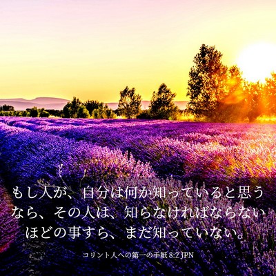 Picture 03 - コリント人への第一の手紙 8:2 JPN - もし人が、自分は何か知っていると - Bible Verse Picture