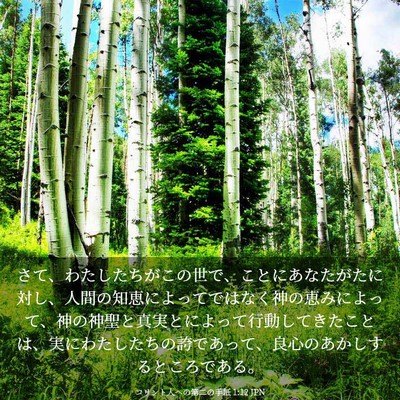 Picture 03 - コリント人への第二の手紙 1:12 JPN - さて、わたしたちがこの世で、こと - Bible Verse Picture