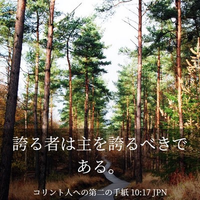 Picture 03 - コリント人への第二の手紙 10:17 JPN - 誇る者は主を誇るべきである。 - Bible Verse Picture