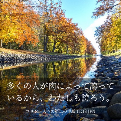 Picture 03 - コリント人への第二の手紙 11:18 JPN - 多くの人が肉によって誇っているか - Bible Verse Picture