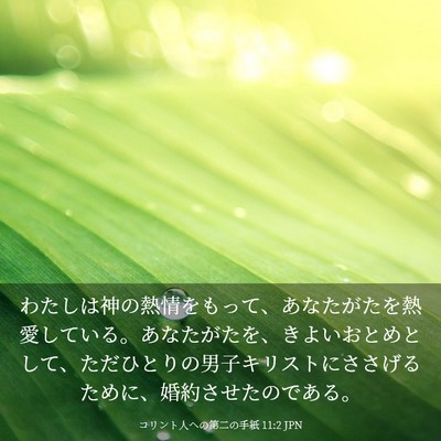 Picture 03 - コリント人への第二の手紙 11:2 JPN - わたしは神の熱情をもって、あなた - Bible Verse Picture
