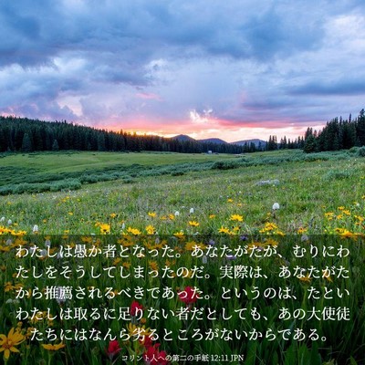 Picture 03 - コリント人への第二の手紙 12:11 JPN - わたしは愚か者となった。あなたが - Bible Verse Picture