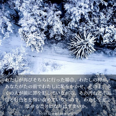 Picture 03 - コリント人への第二の手紙 12:21 JPN - わたしが再びそちらに行った場合、 - Bible Verse Picture