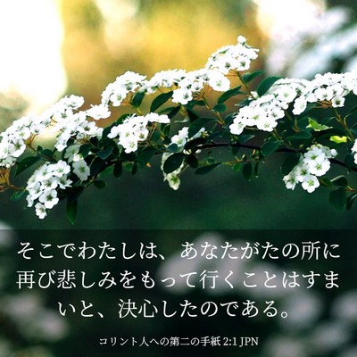 Picture 03 - コリント人への第二の手紙 2:1 JPN - そこでわたしは、あなたがたの所に - Bible Verse Picture