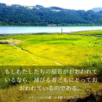Picture 03 - コリント人への第二の手紙 4:3 JPN - もしわたしたちの福音がおおわれて - Bible Verse Picture