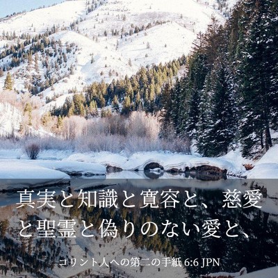 Picture 03 - コリント人への第二の手紙 6:6 JPN - 真実と知識と寛容と、慈愛と聖霊と - Bible Verse Picture