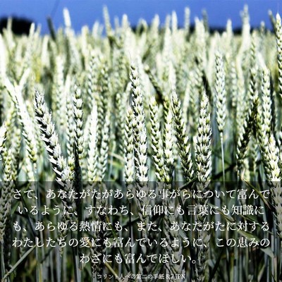 Picture 03 - コリント人への第二の手紙 8:7 JPN - さて、あなたがたがあらゆる事がら - Bible Verse Picture