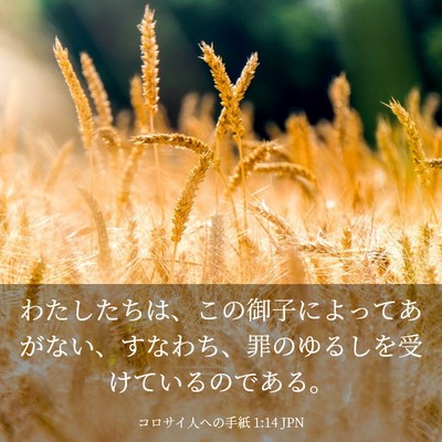 Picture 03 - コロサイ人への手紙 1:14 JPN - わたしたちは、この御子によってあ - Bible Verse Picture