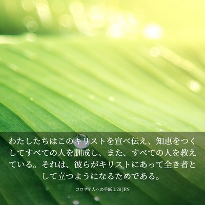Picture 03 - コロサイ人への手紙 1:28 JPN - わたしたちはこのキリストを宣べ伝 - Bible Verse Picture