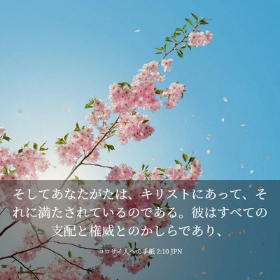 Picture 03 - コロサイ人への手紙 2:10 JPN - そしてあなたがたは、キリストにあ - Bible Verse Picture