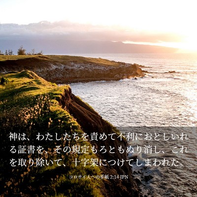 Picture 03 - コロサイ人への手紙 2:14 JPN - 神は、わたしたちを責めて不利にお - Bible Verse Picture