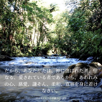 Picture 03 - コロサイ人への手紙 3:12 JPN - だから、あなたがたは、神に選ばれ - Bible Verse Picture