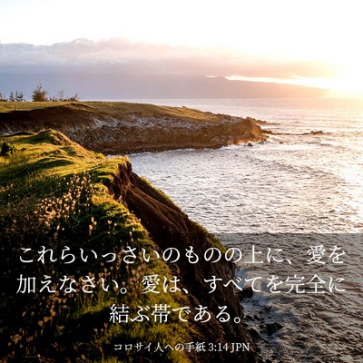 Picture 03 - コロサイ人への手紙 3:14 JPN - これらいっさいのものの上に、愛を - Bible Verse Picture